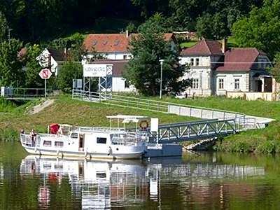 Záviš z Falkenštejna