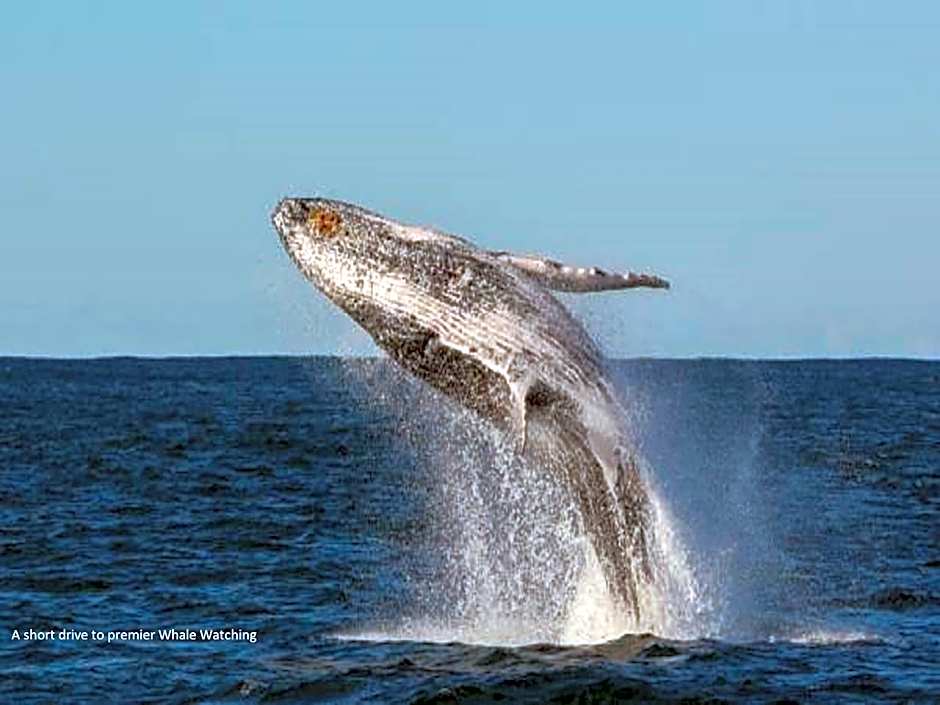 Newcastle Links Motel