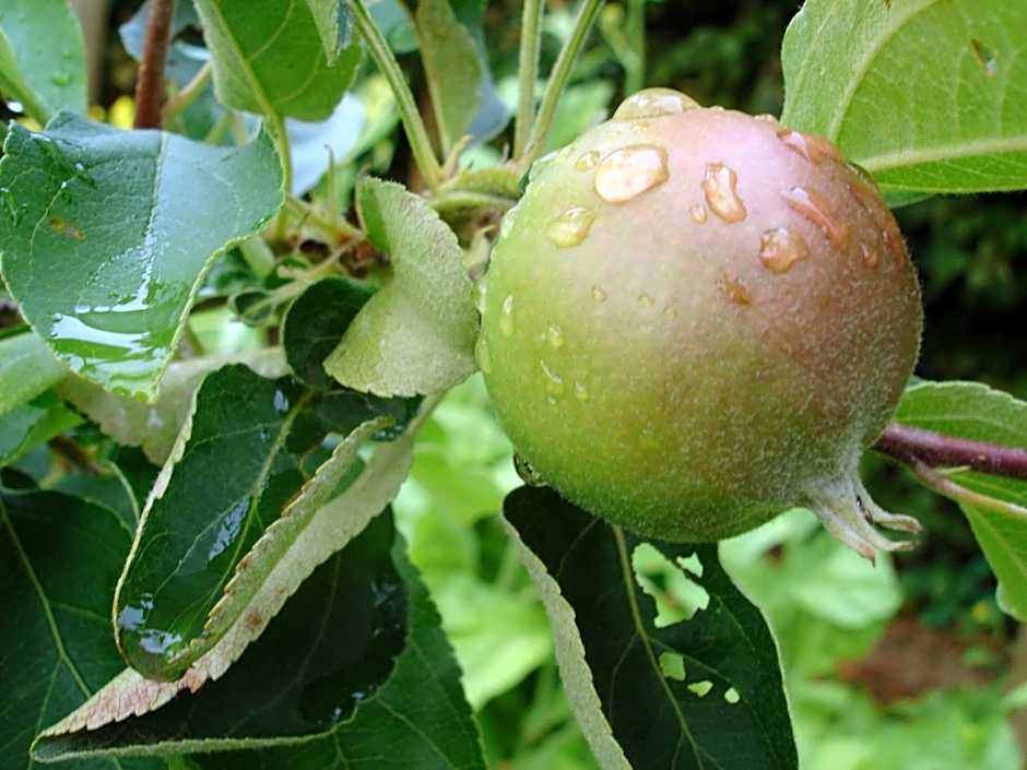 De Doornkraal Vinotel