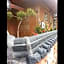 Star Rest Hanok