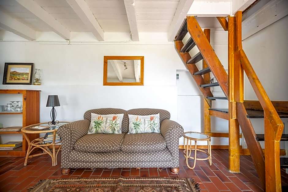 Bosky Dell on Boulders Beach