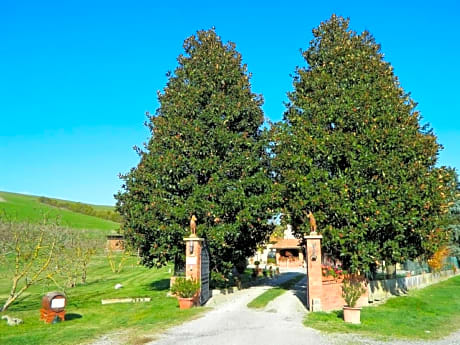 Francigena