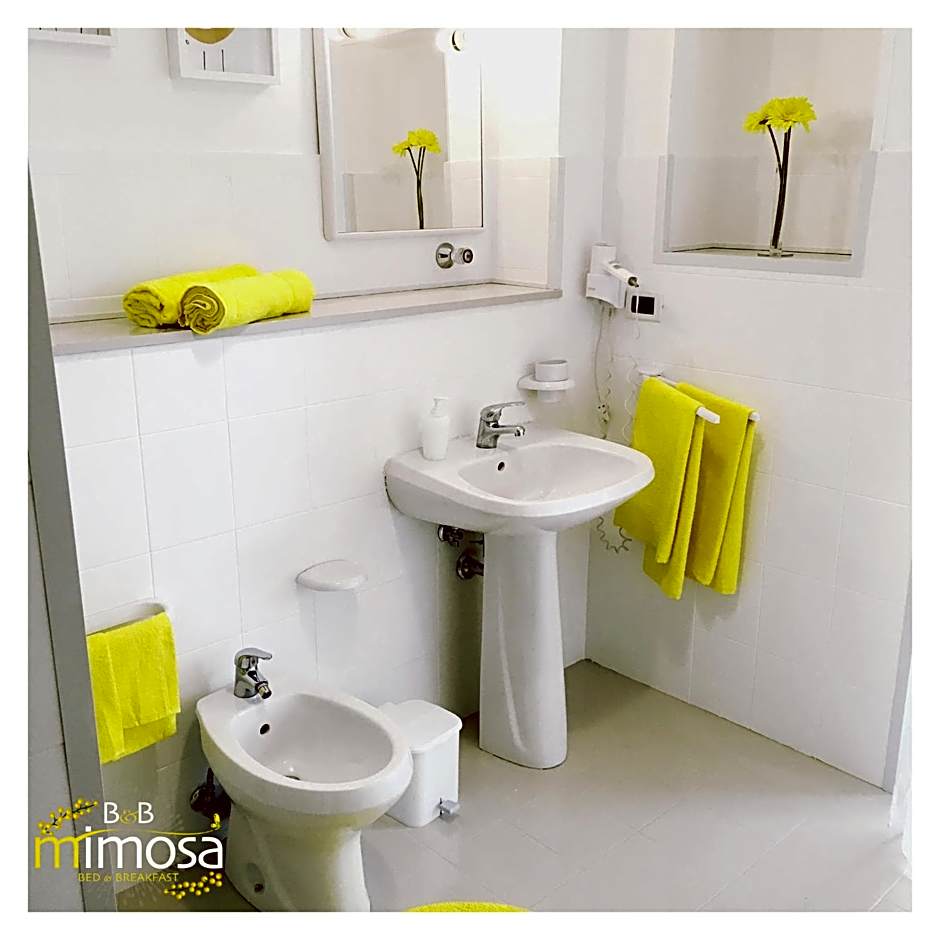 B&B Mimosa