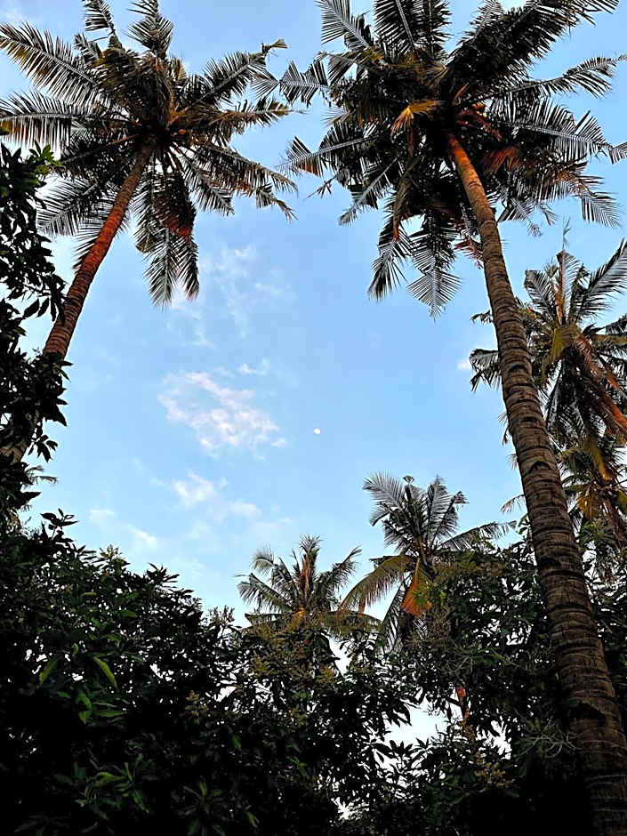 Oasi Gili Air - Joglo2