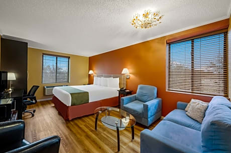 1 King Bed Suite Nonsmoking