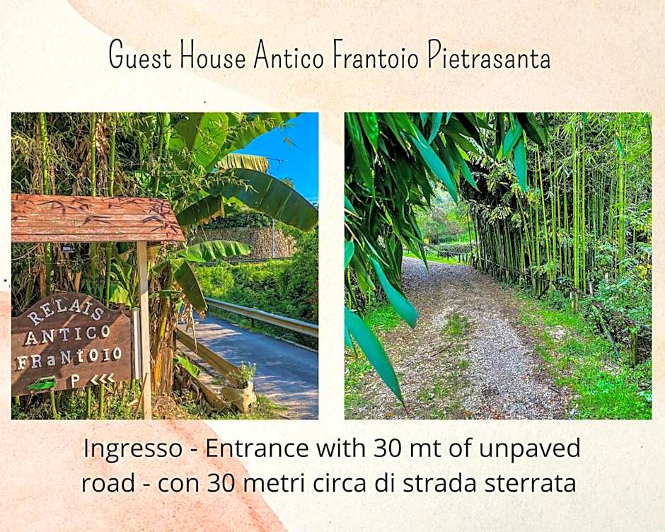 Guest House Antico Frantoio Pietrasanta Affittacamere