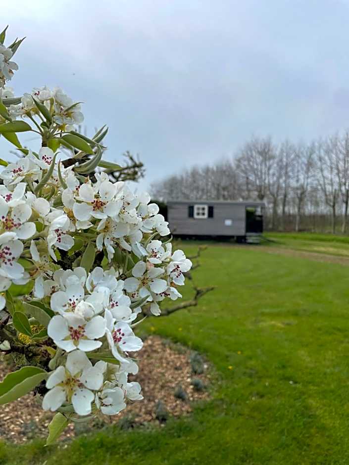 lodge 61 hotel aan het water