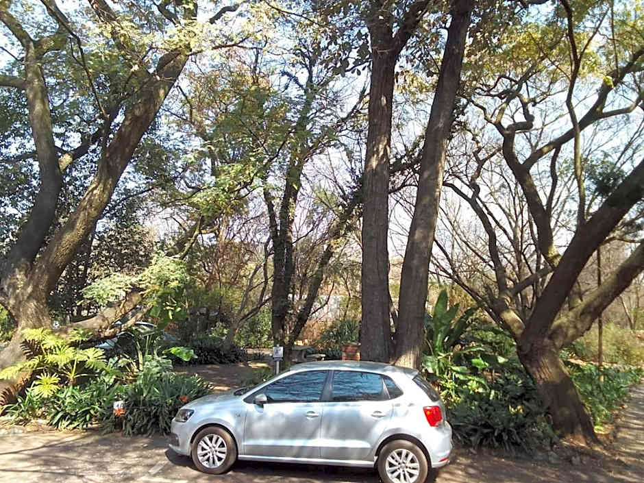 Lapalosa Lodge