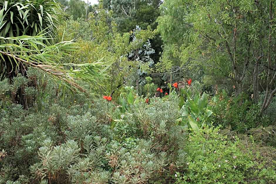 Black Cockatoo Lodge