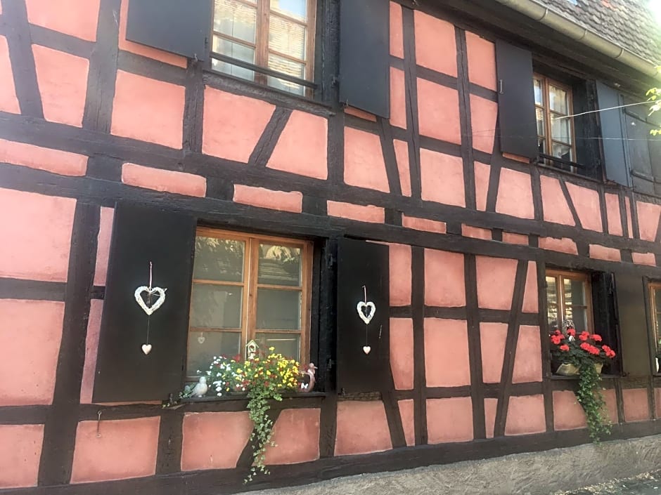 Gîte de caractère au calme , proche quartier historique, Au Merlenchanteur – Schiltigheim, 