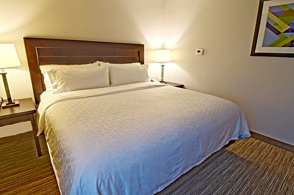 Holiday Inn Express Hotel & Suites Chicago-Libertyville