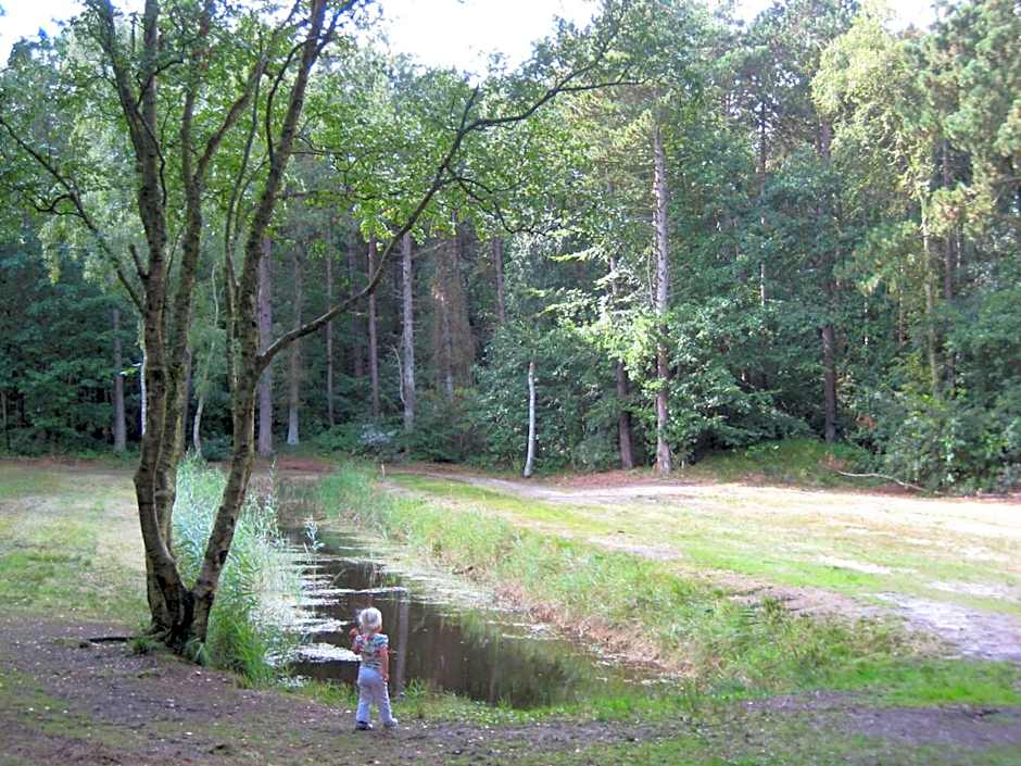 De Cyprian Bed & Breakfast