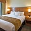 Comfort Suites Bossier City - Shreveport East