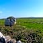 Aille River Tourist Hostel and Campsite Doolin