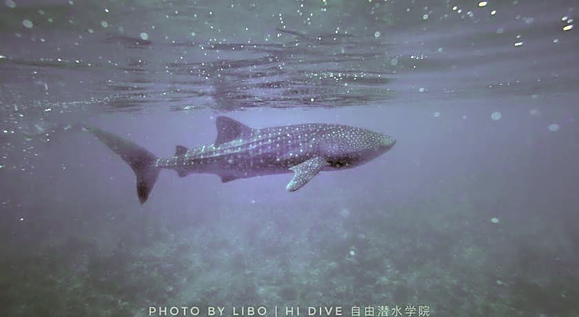 Sunrise by White sand dhigurah 