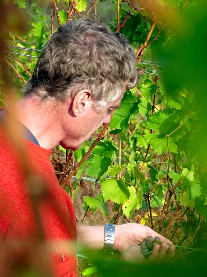 Stay at the Winemaker