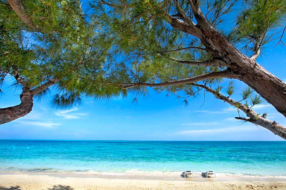 Viva Fortuna Beach by Wyndham, A Trademark All Inclusive