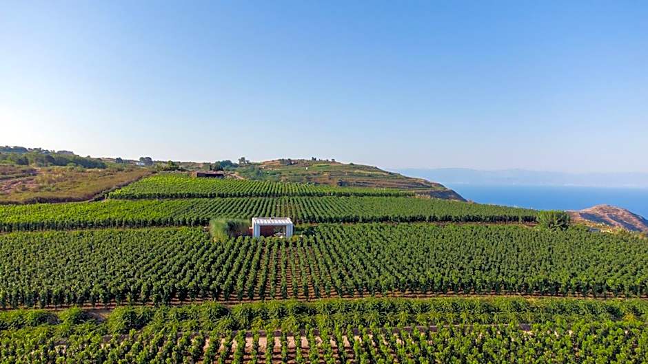 Tenuta di Castellaro Winery & Resort