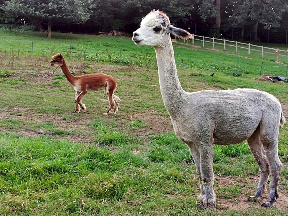 Chart House Bed and Breakfast