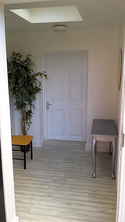 The cabin saracens head