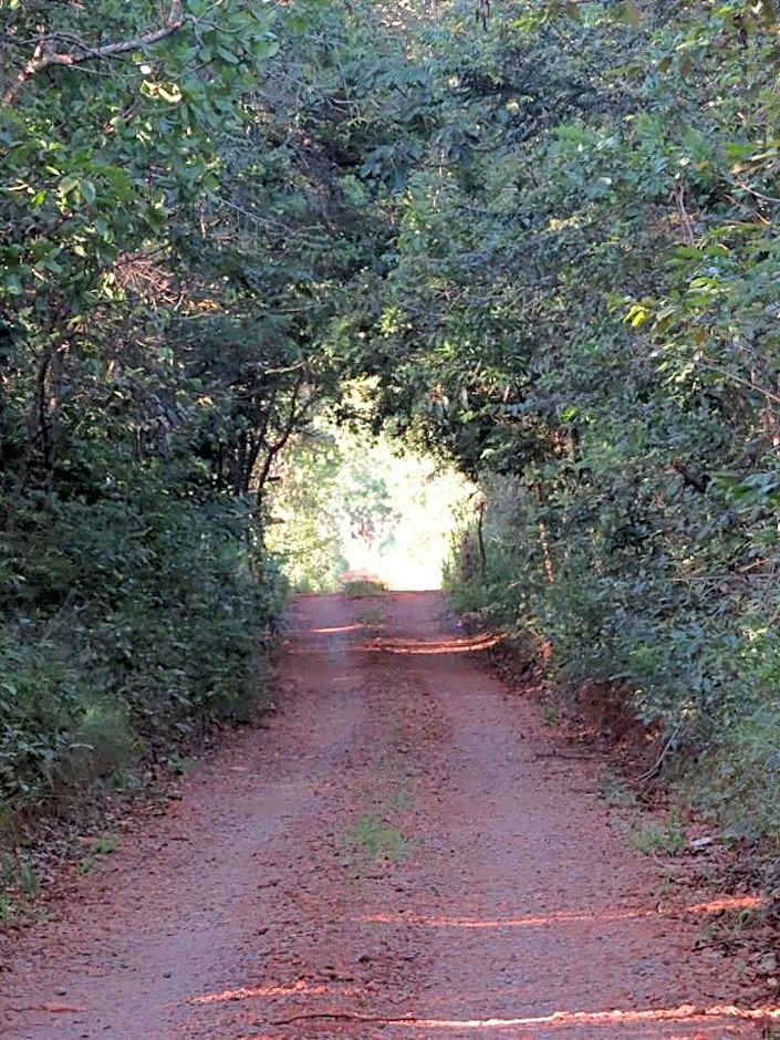 Casa na fazenda inteira ou quartos individuais no Hostel Recanto da Felicidade Paraopeba