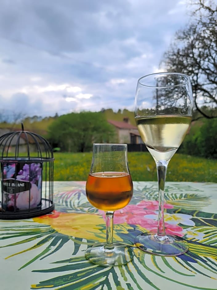 La Perle De Frayssinet-Le-Gélat - Chambre d'Hôtes - B&B