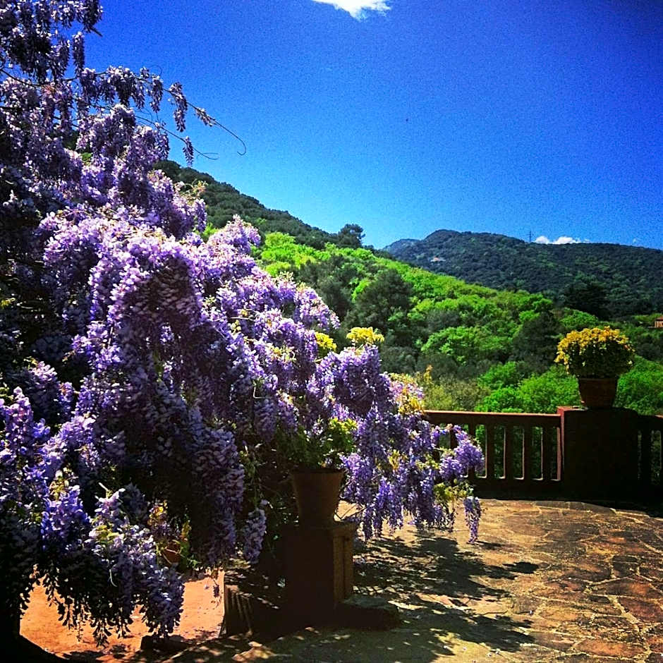 Masia Vista Hermosa