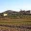 B&B Il Girasole - Rooms & House in country - air conditioned - 1500 meters from historic center