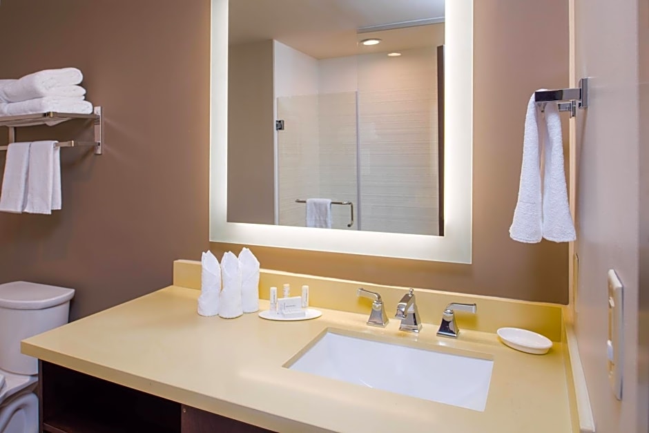 Fairfield Inn & Suites by Marriott New Orleans Downtown/French Quarter Area