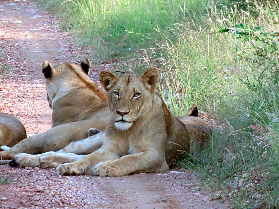 Muweti Bush Lodge