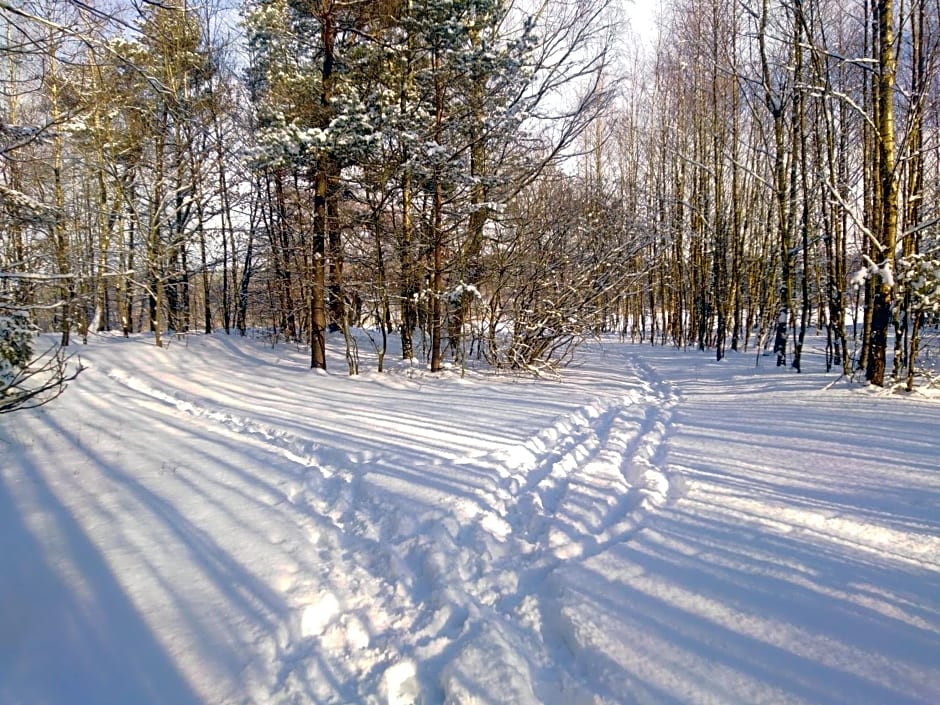 Grygielówka nad jeziorem - sauna & jacuzzi