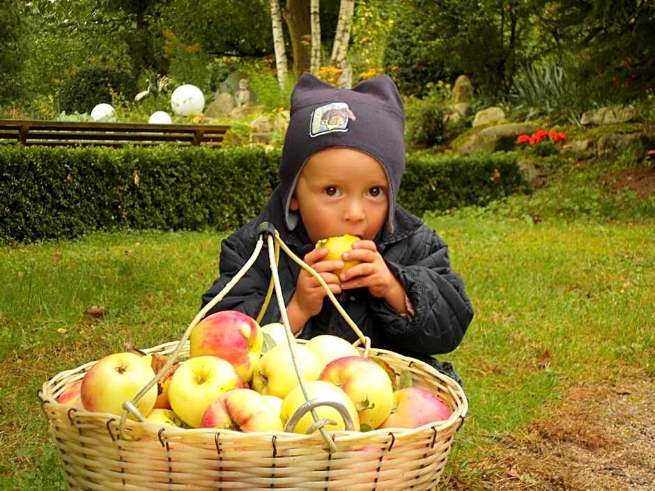 Harzer Feriengarten 4 Sterne