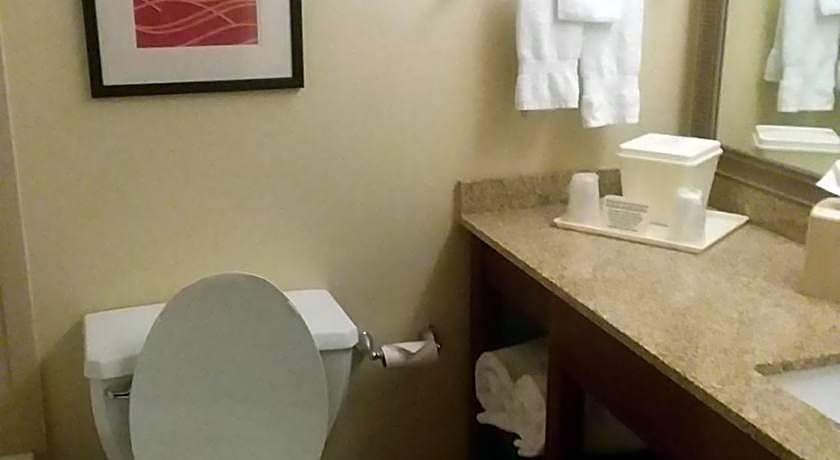 Comfort Inn Somerset