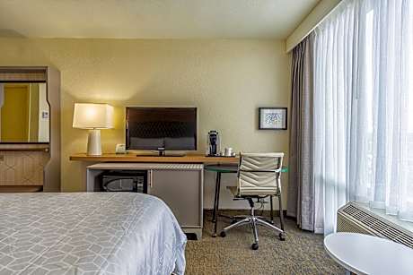 Premium King Room