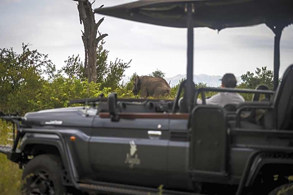 Nyala Safari Lodge