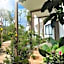 Oasis Yaaxlum