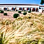 Hotel Rural Binigaus Vell