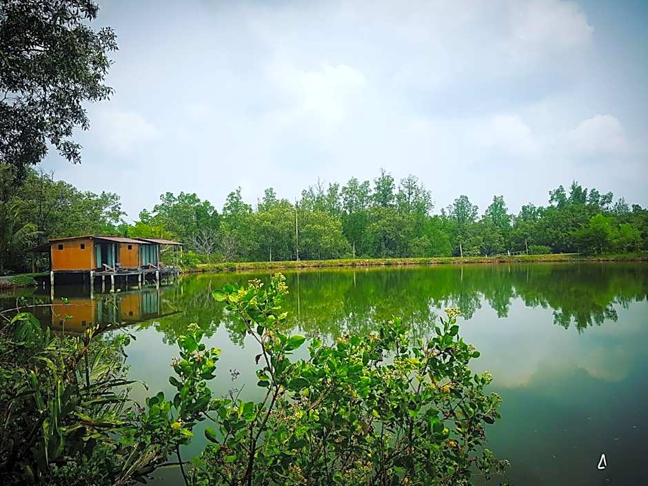 Calm at Bangphat