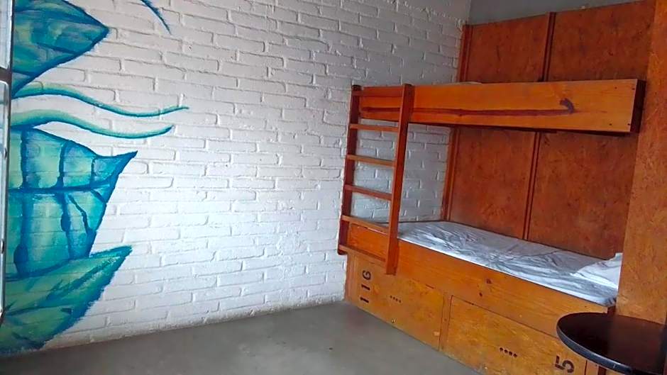 Canova Hostel & Pizza