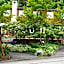 Pension Asanebou