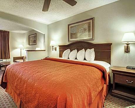 1 King Bed Suite Nonsmoking
