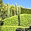 Chalet Agave