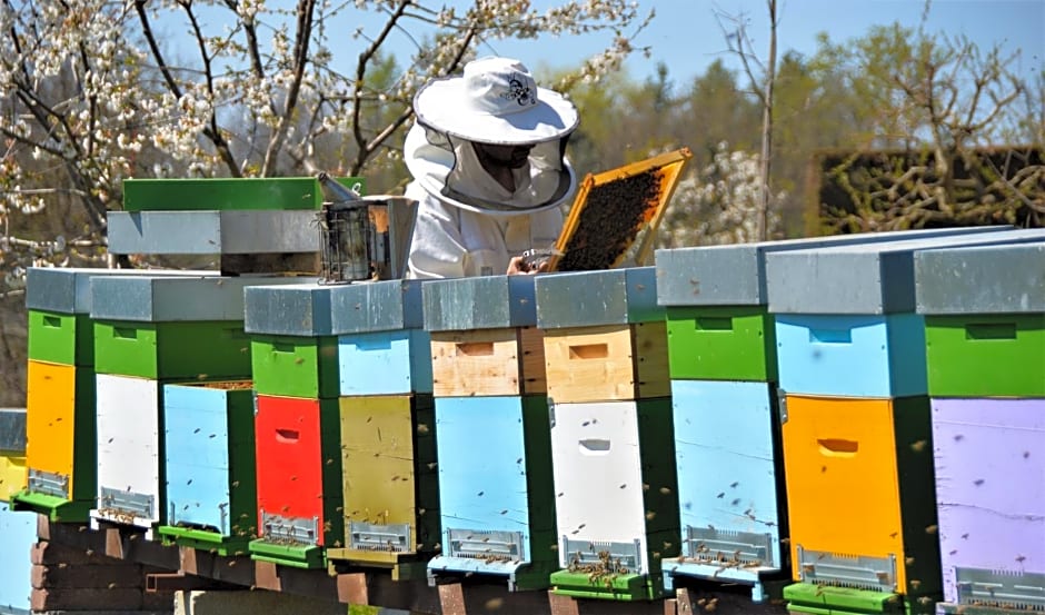 Il casotto nelle Langhe