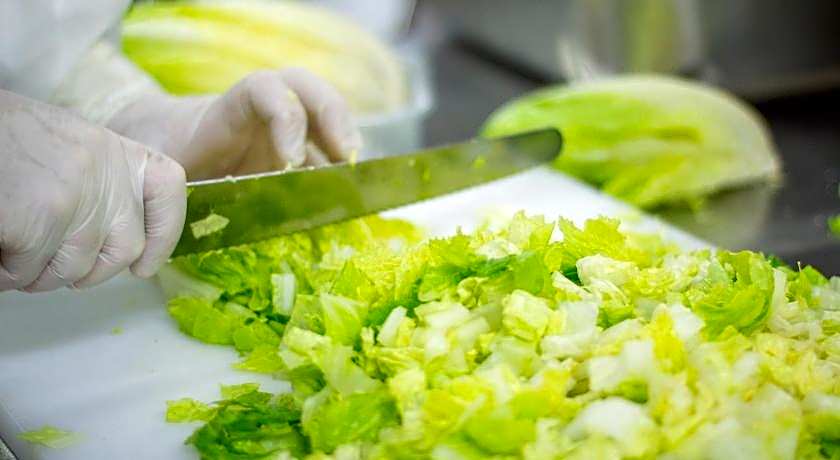 Novotel Kochi Infopark