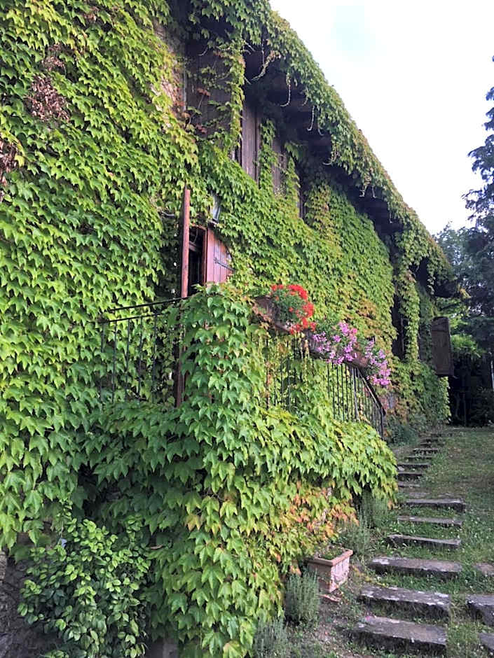 B&B Appartamenti Villa del lago