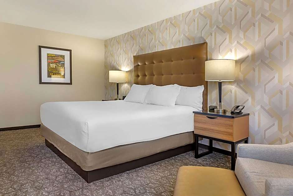 DRURY INN & SUITES ST LOUIS SOUTHWEST