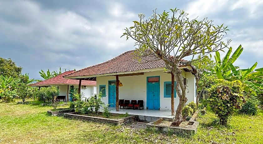 OYO 93604 Hepi Bungalow Lovina