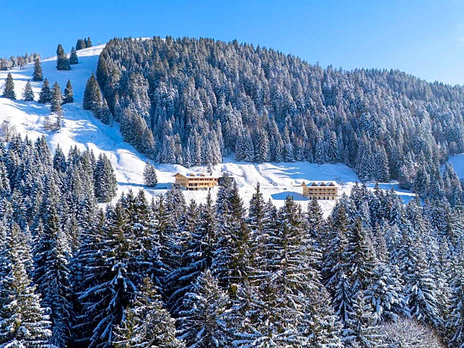 Berghotel Wald&Wiesn
