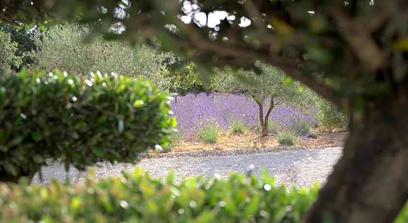 Villa Otilia-Bed and Breakfast-Chambres d'hotes en Provence