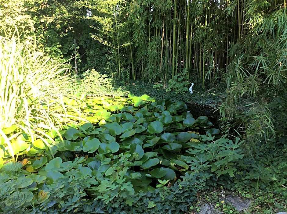 Bed and breakfast Queen